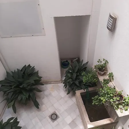 Plaza Nueva's House 